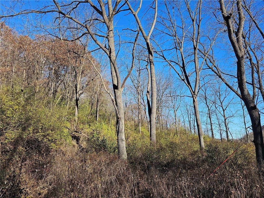 Goodview, Winona County, MN Undeveloped Land for sale Property ID