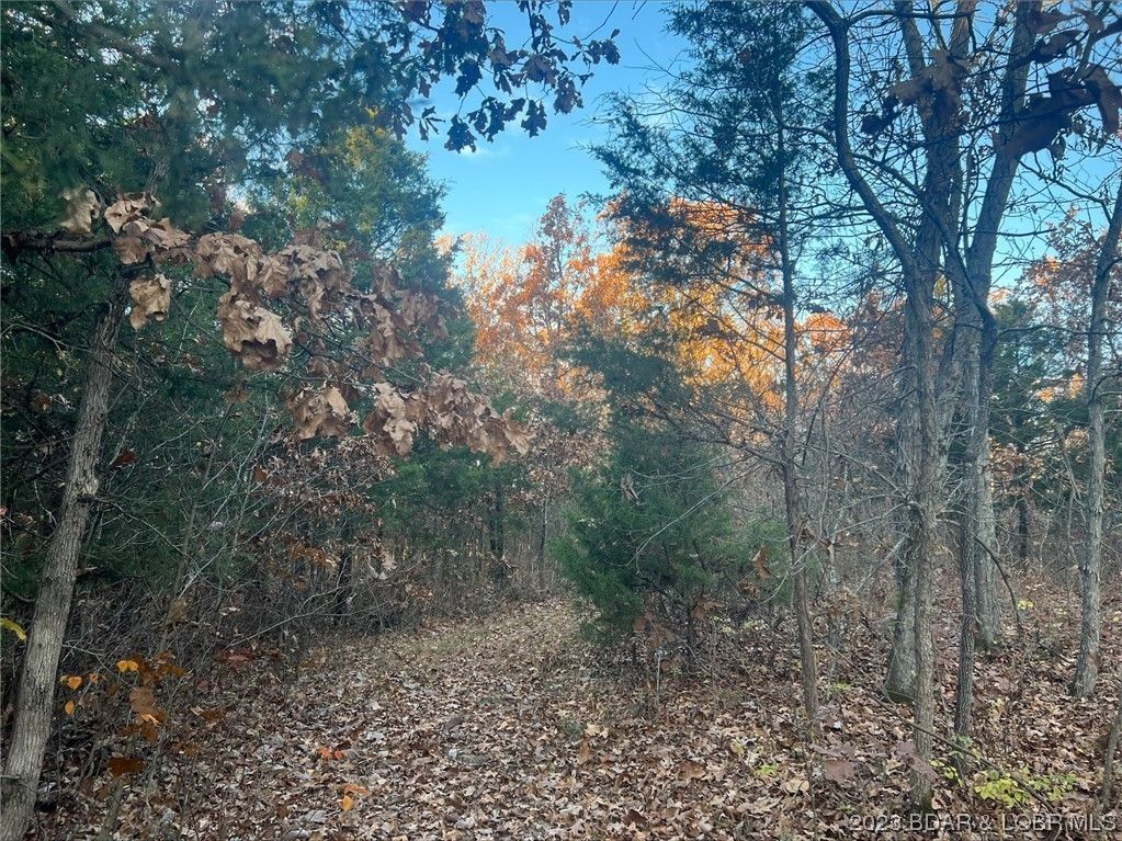 Iberia, Miller County, MO House for sale Property ID 418276594 LandWatch