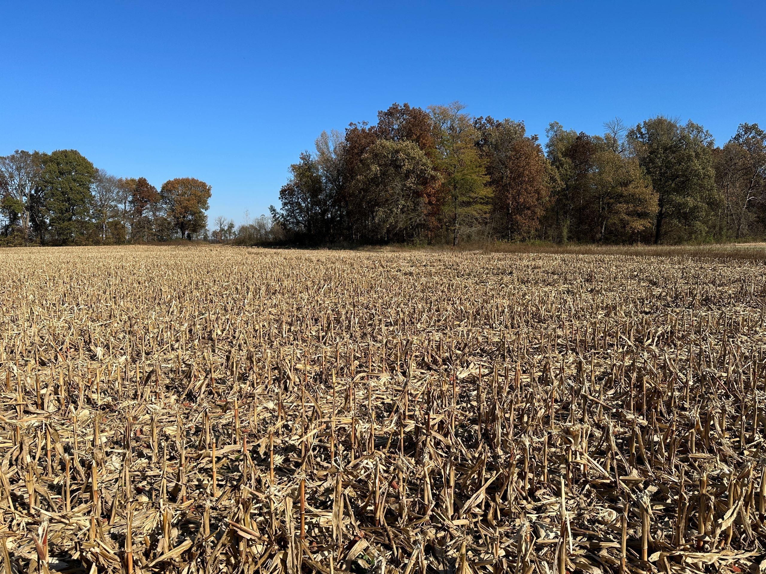 Slaughters, Hopkins County, KY Farms and Ranches, Recreational Property