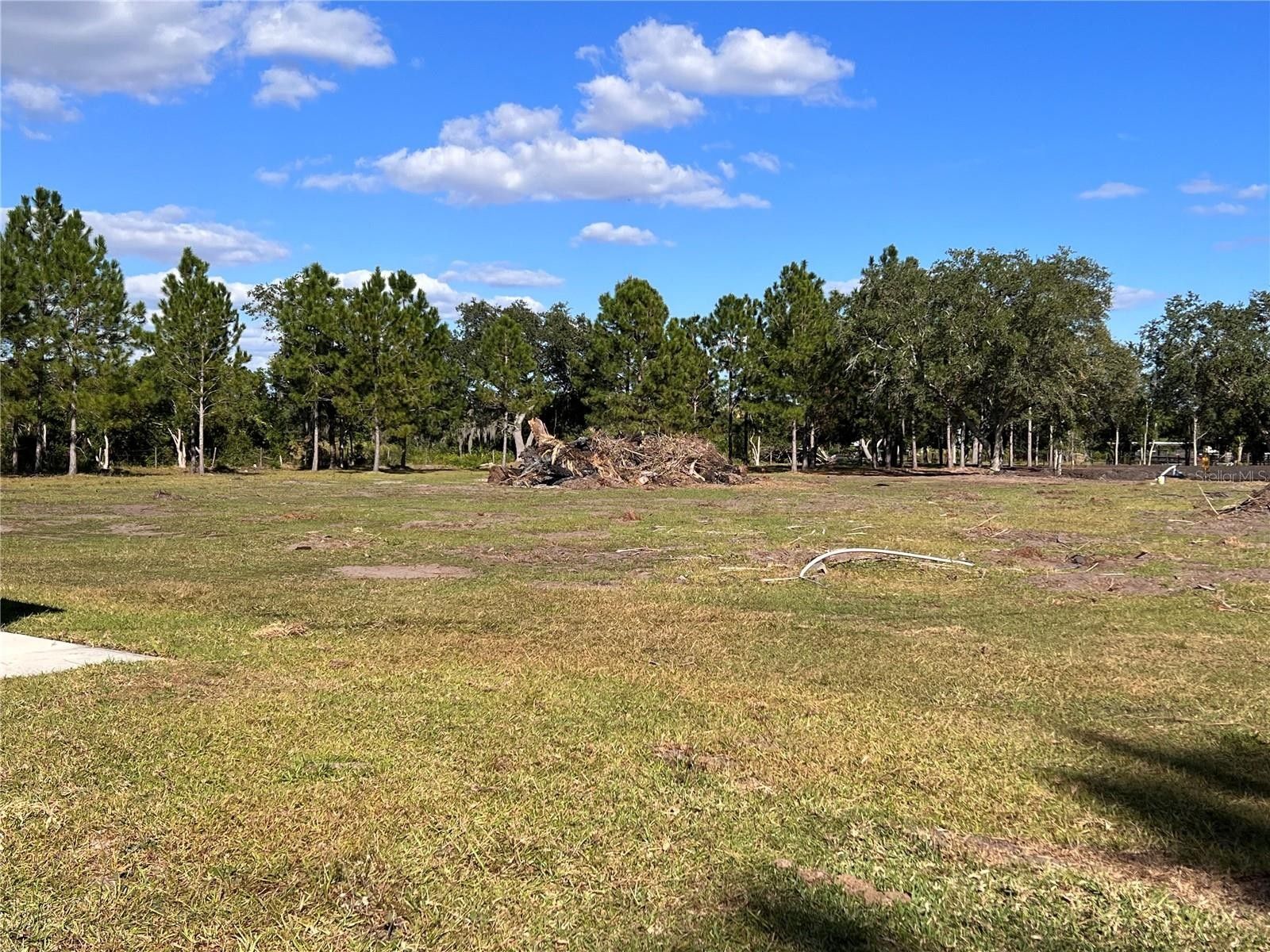 Kissimmee, Osceola County, FL Undeveloped Land for sale Property ID