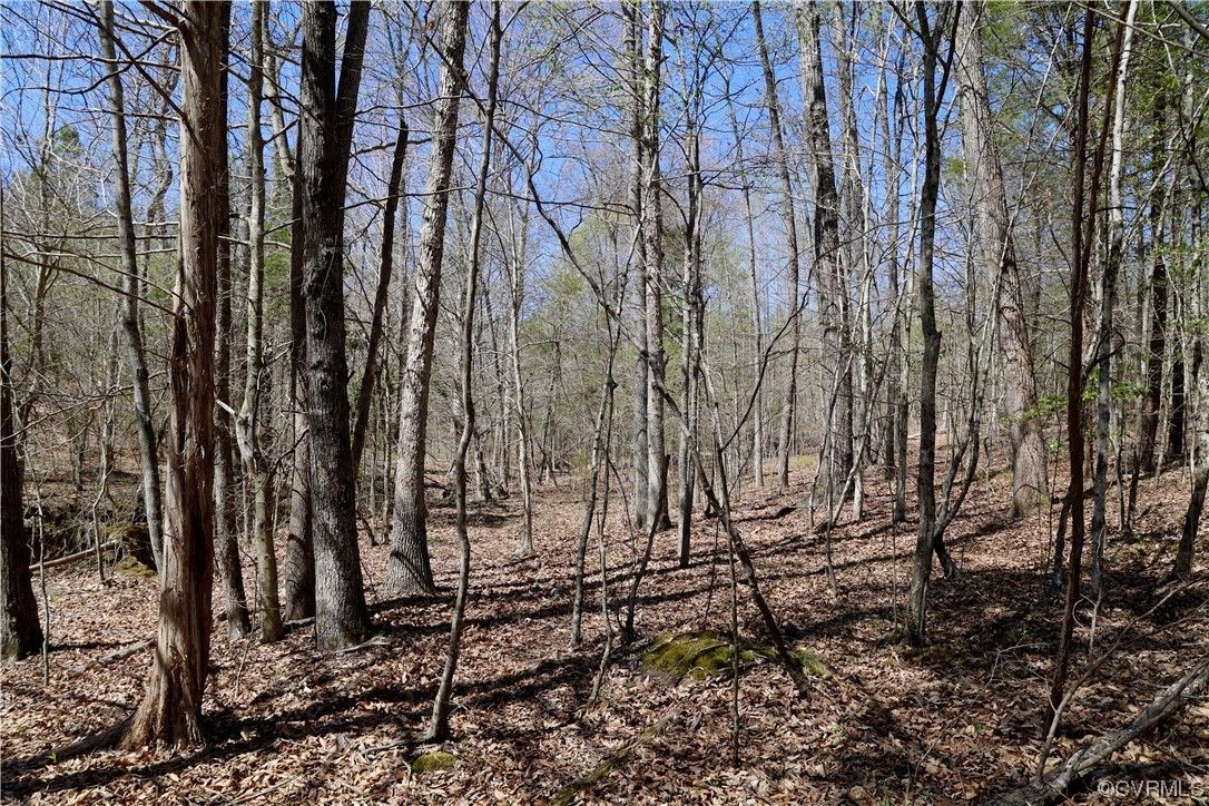 Goochland, Goochland County, VA Undeveloped Land for sale Property ID