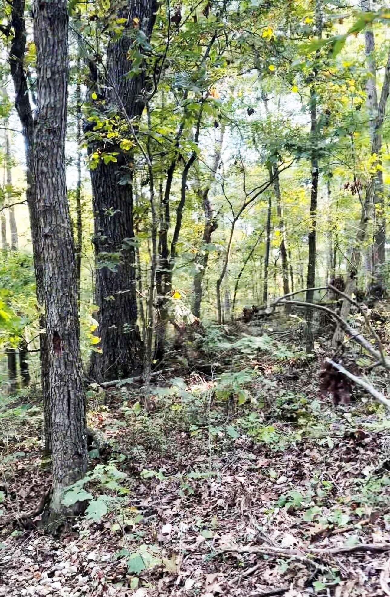 000 State Hwy C, Purdy, MO 65734 MLS 60256507 LandWatch