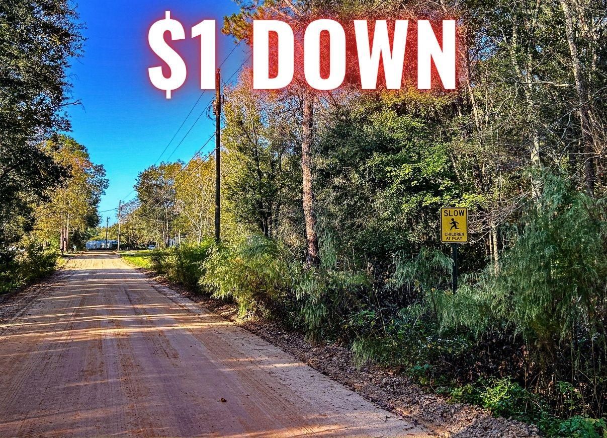 Hazlehurst, Jeff Davis County, GA Recreational Property, Undeveloped