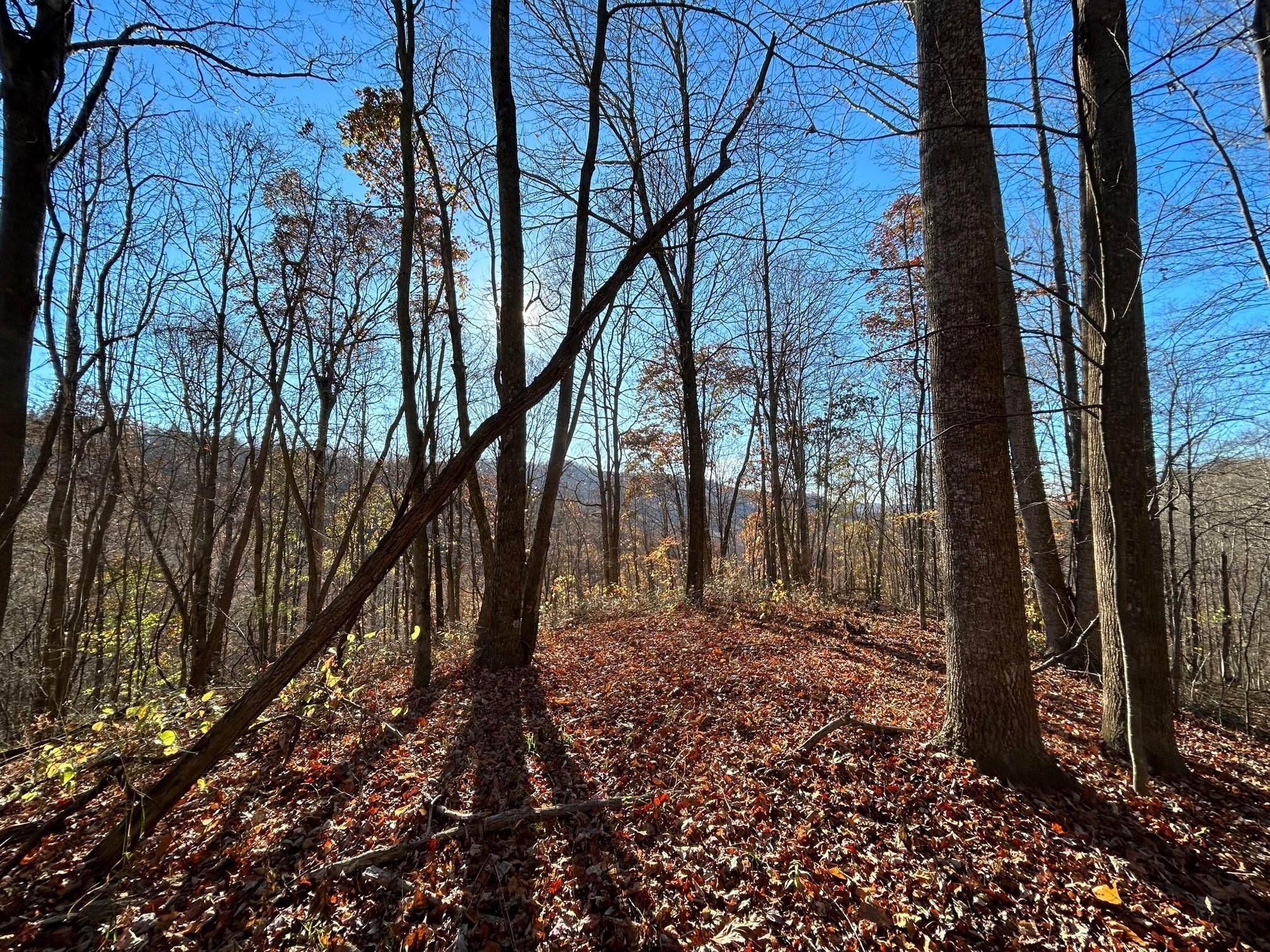 Fisher Creek, Green Sulphur Springs, WV 25966 LandWatch