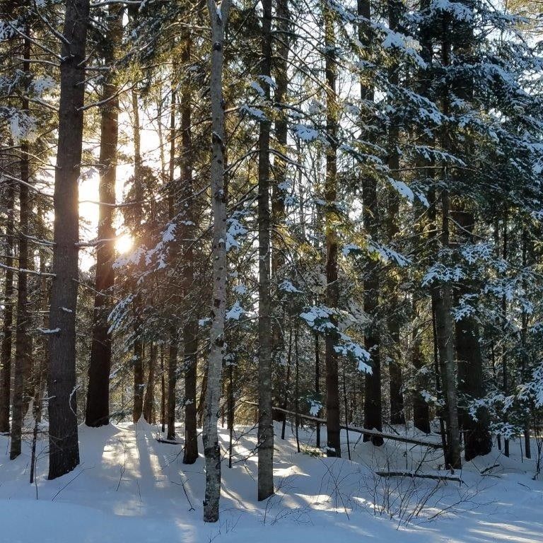 Columbia, Coos County, NH Undeveloped Land, Lakefront Property