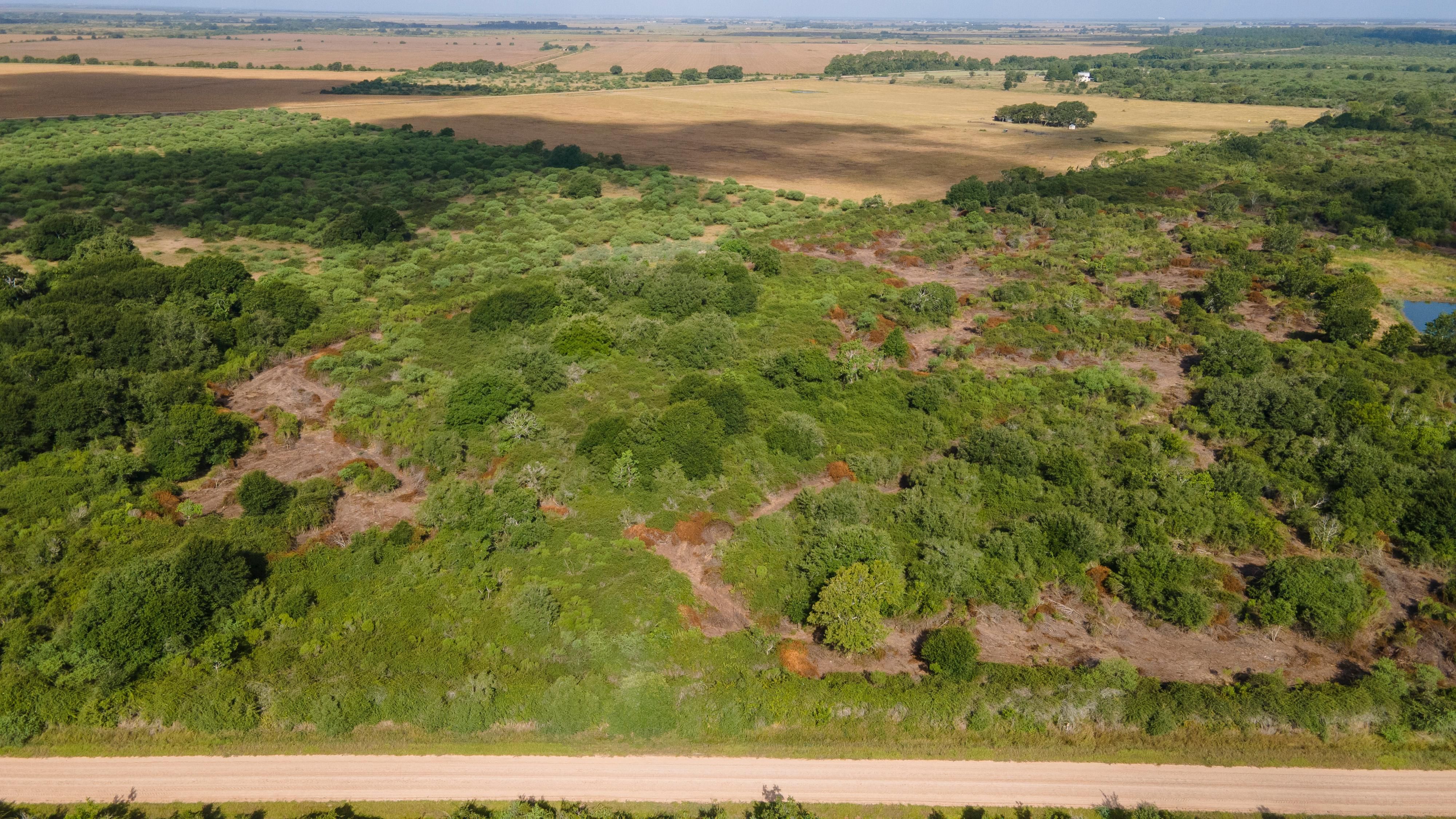 Louise, Wharton County, TX Farms and Ranches, Recreational Property for