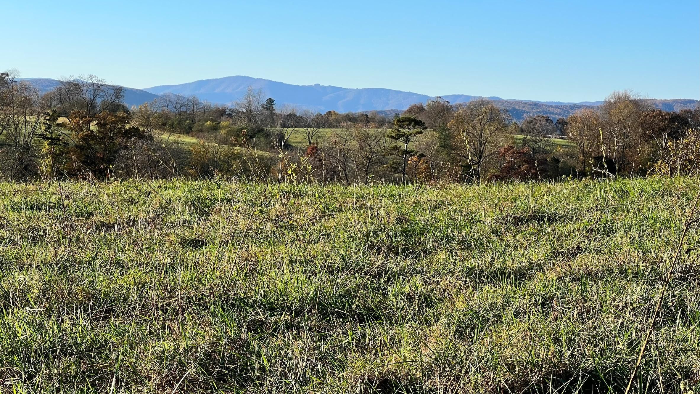 000 Wiles Ridge Rd, Hays, NC 28635 MLS 1125386 LandWatch