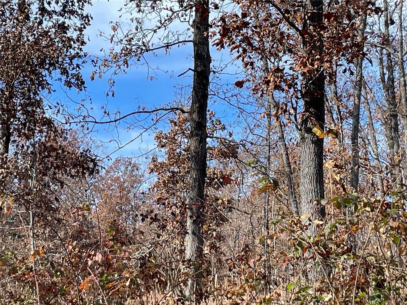 Patterson, Wayne County, MO Farms and Ranches for sale Property ID