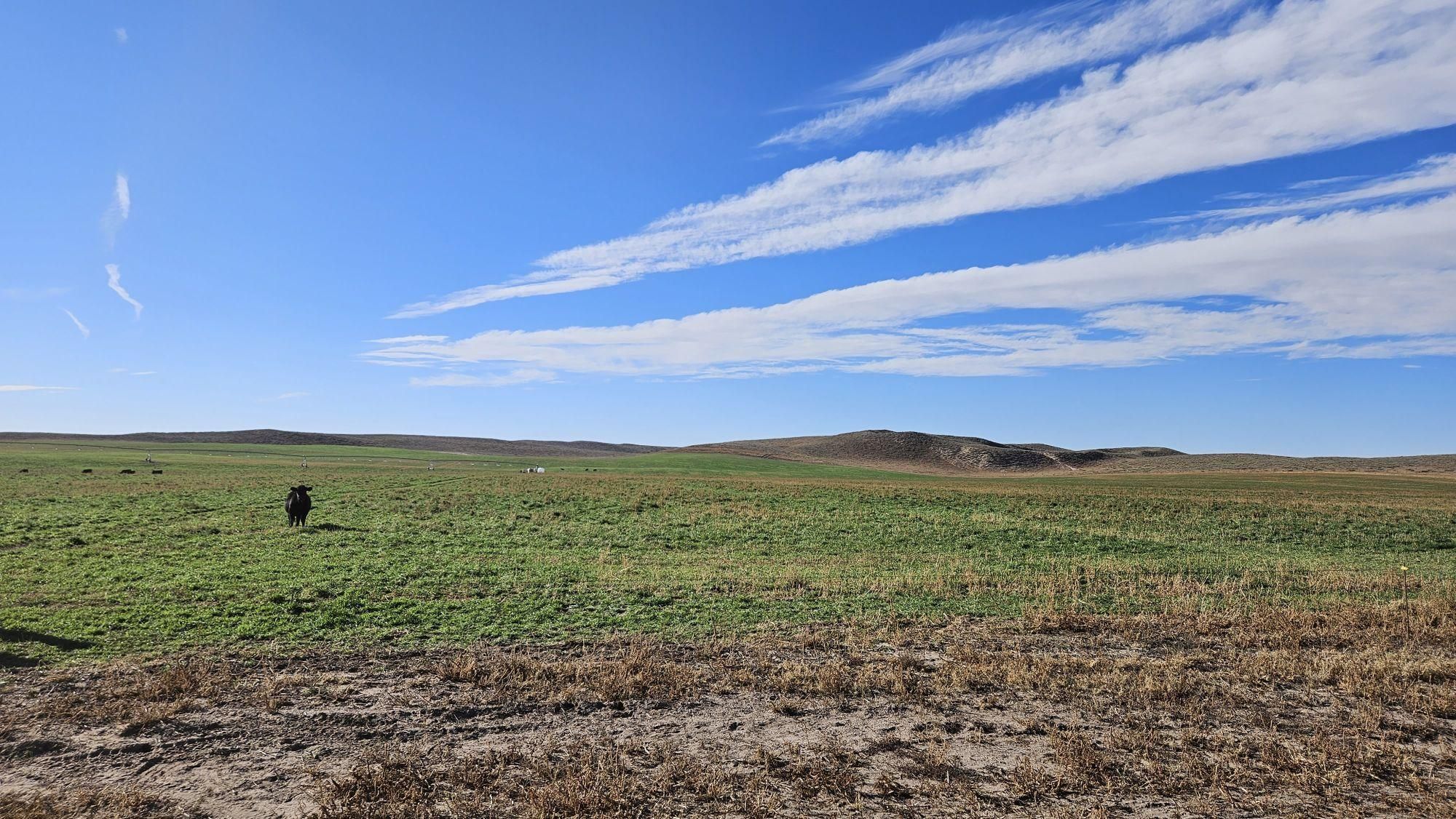 Wray, Yuma County, CO Farms and Ranches for sale Property ID 416428249