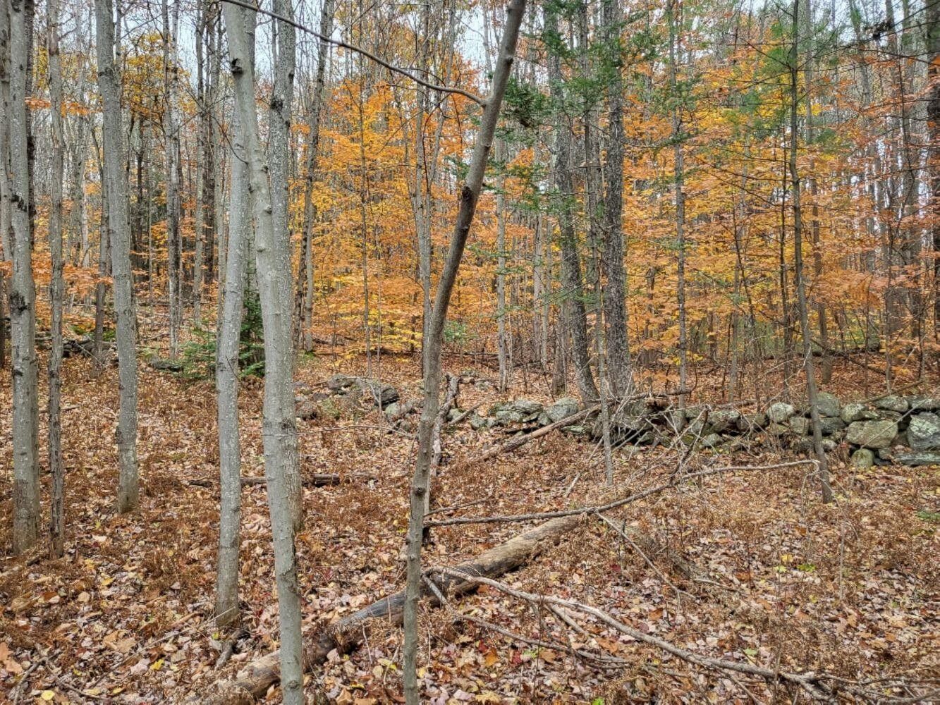 Wilton, Franklin County, ME Undeveloped Land, Homesites for sale