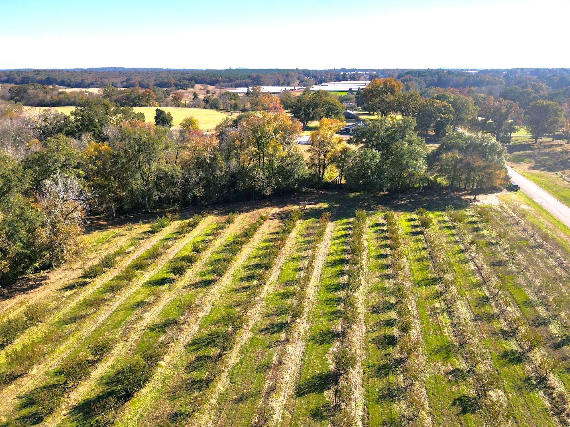 County Road 4230, Pittsburg, TX 75686 LandWatch