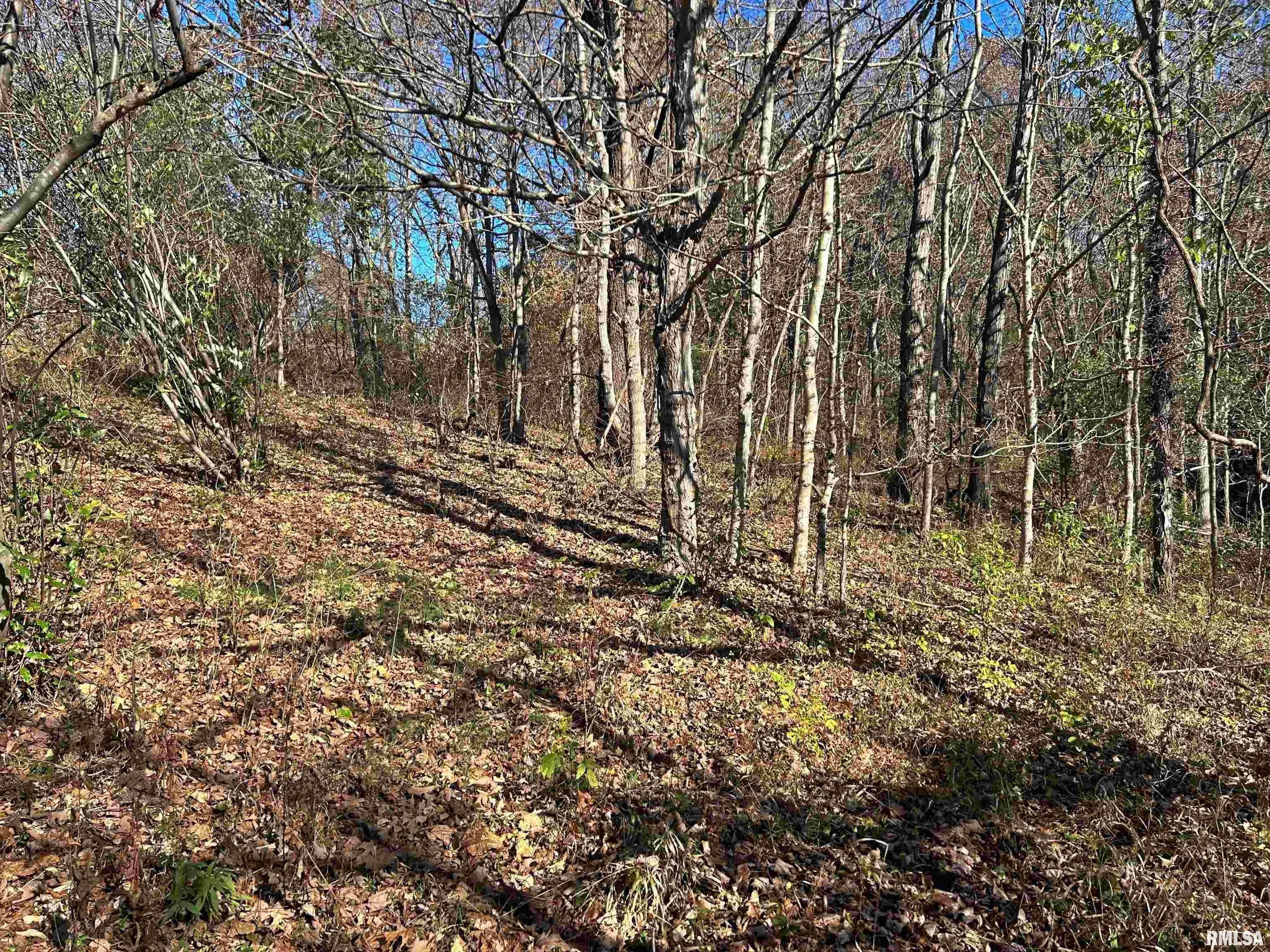 Elizabethtown, Hardin County, IL Undeveloped Land for sale Property ID