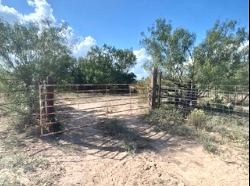 Laredo, b County, TX Undeveloped Land for sale Property ID