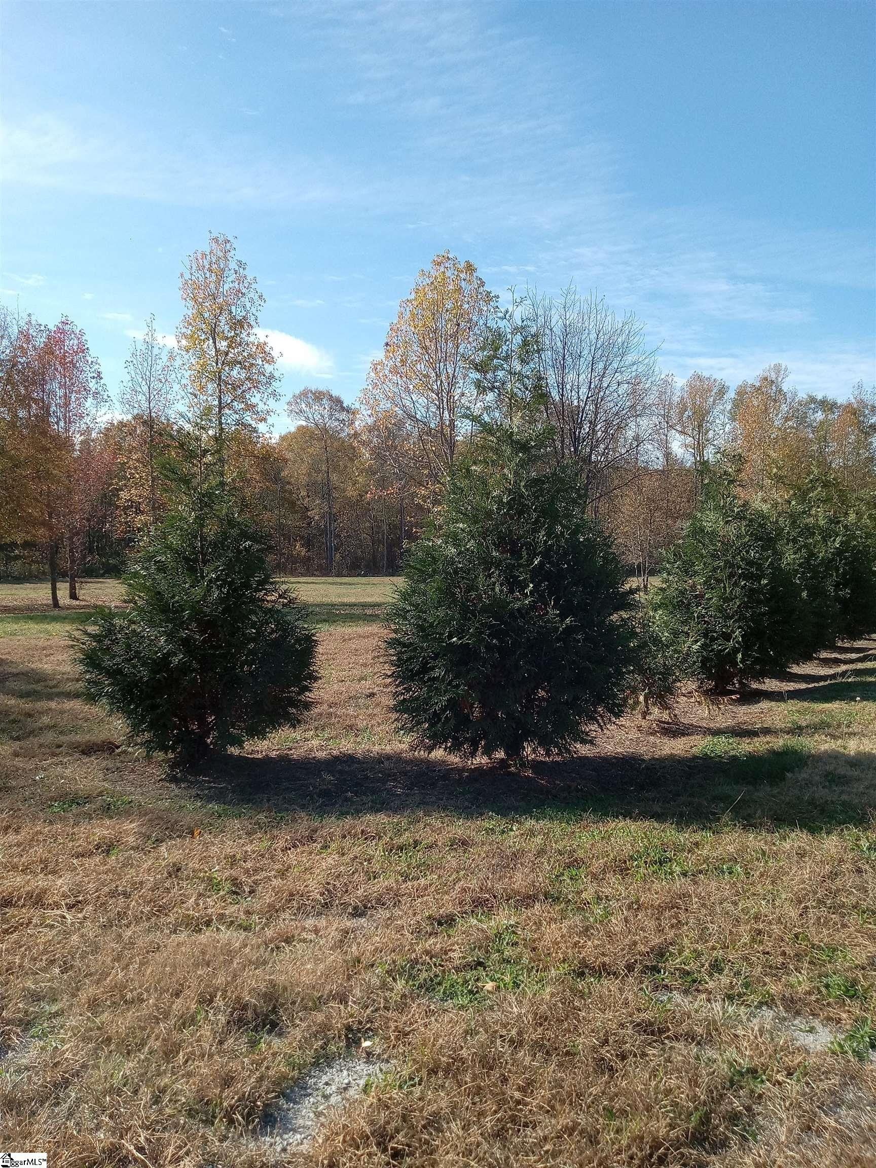 Belton, Anderson County, SC Commercial Property for sale Property ID