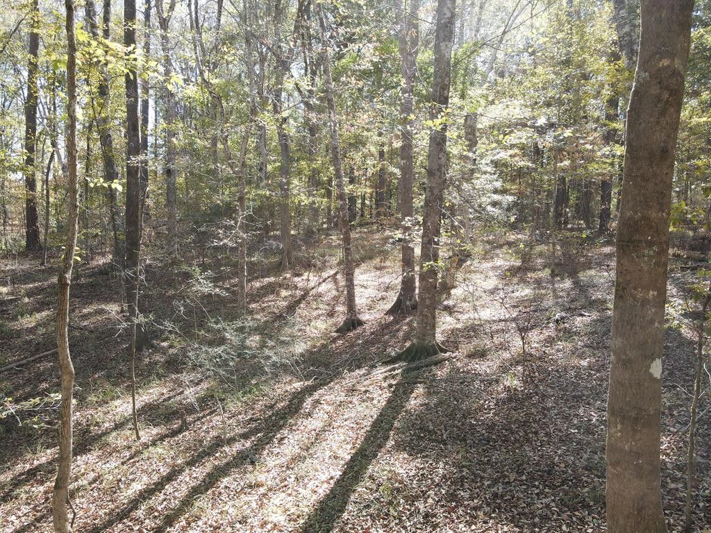 00 Berwick Cassels, Liberty, MS 39638 MLS 140363 LandWatch