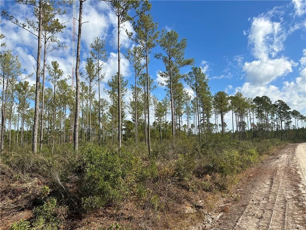 Waycross, Ware County, GA Undeveloped Land for sale Property ID