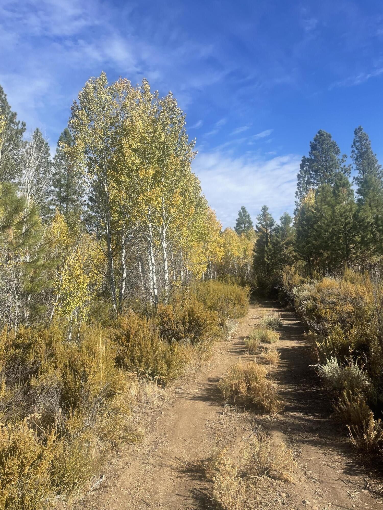 Mule Deer Dr & Antelope Dr, Sprague River, OR 97639 MLS 220173976