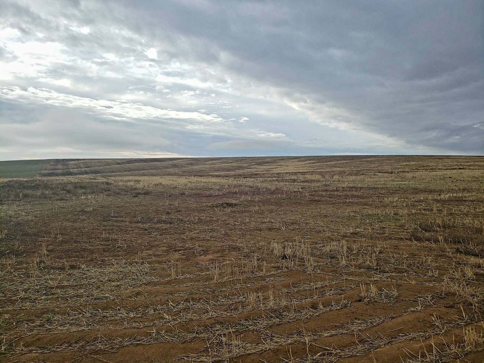 Waterville, Douglas County, WA Undeveloped Land for sale Property ID