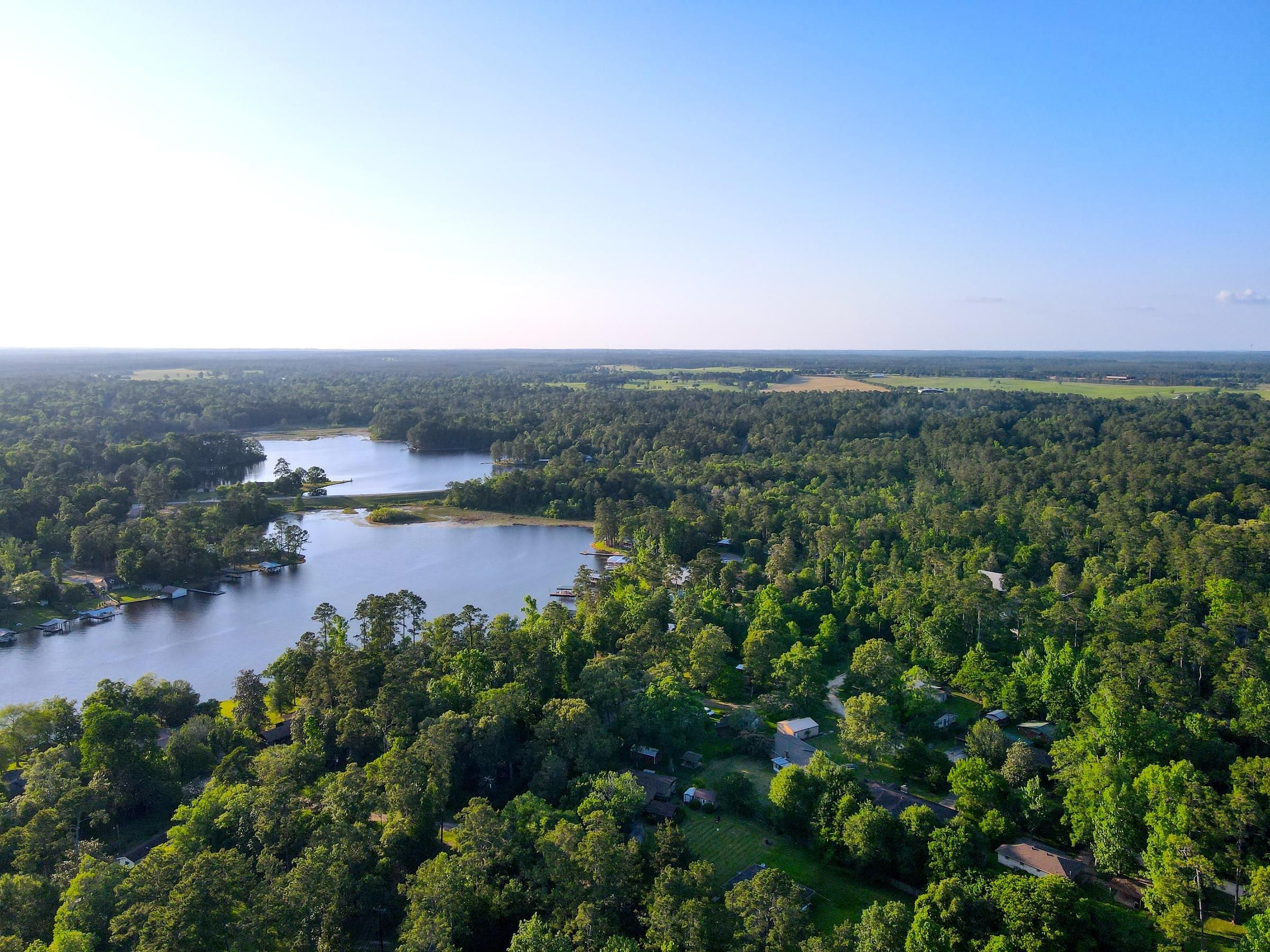 Ivanhoe, Tyler County, TX Recreational Property, Undeveloped Land, Homesites for sale Property