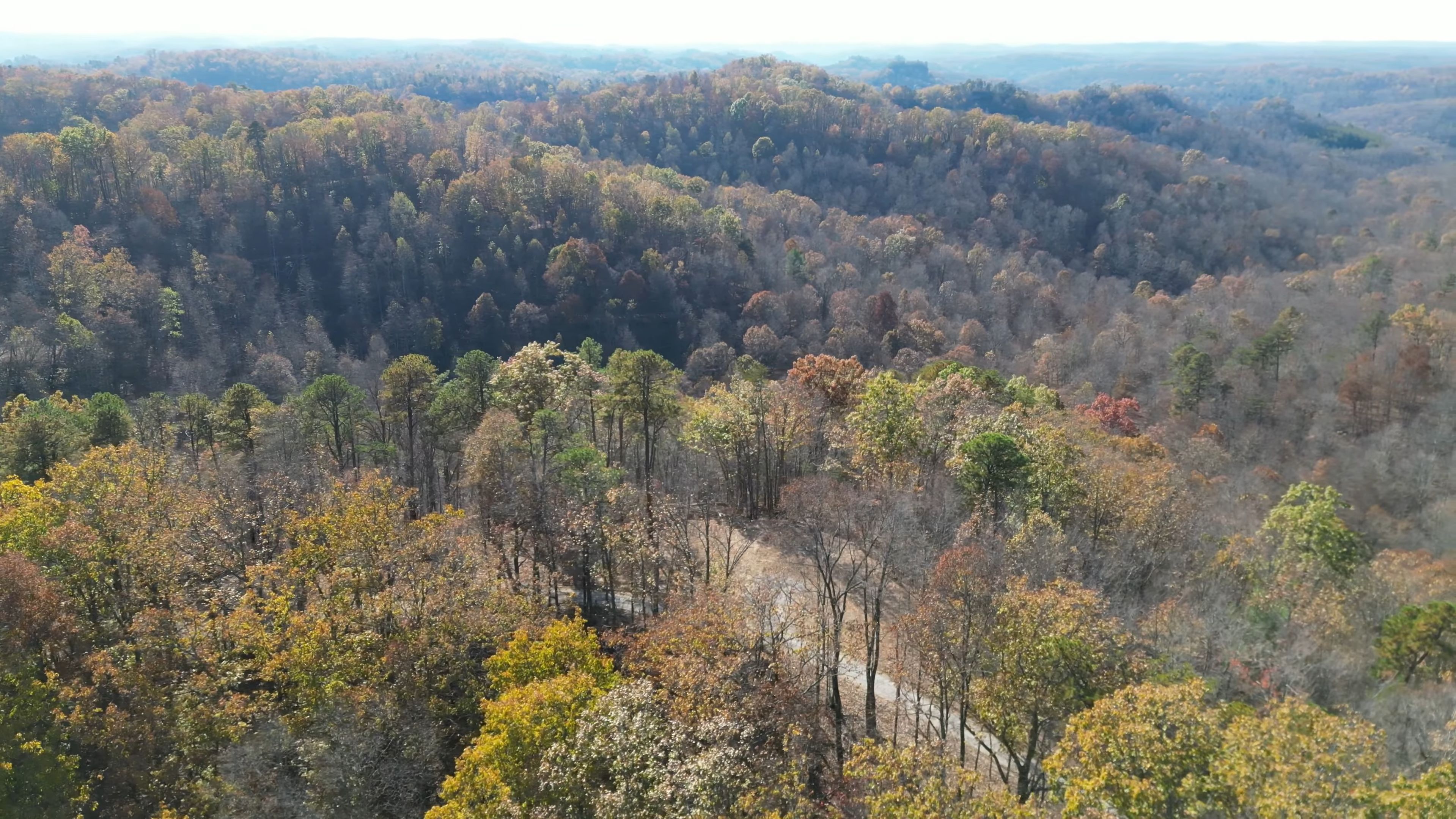 Leeco, Lee County, KY Recreational Property, Timberland Property, Undeveloped Land for sale