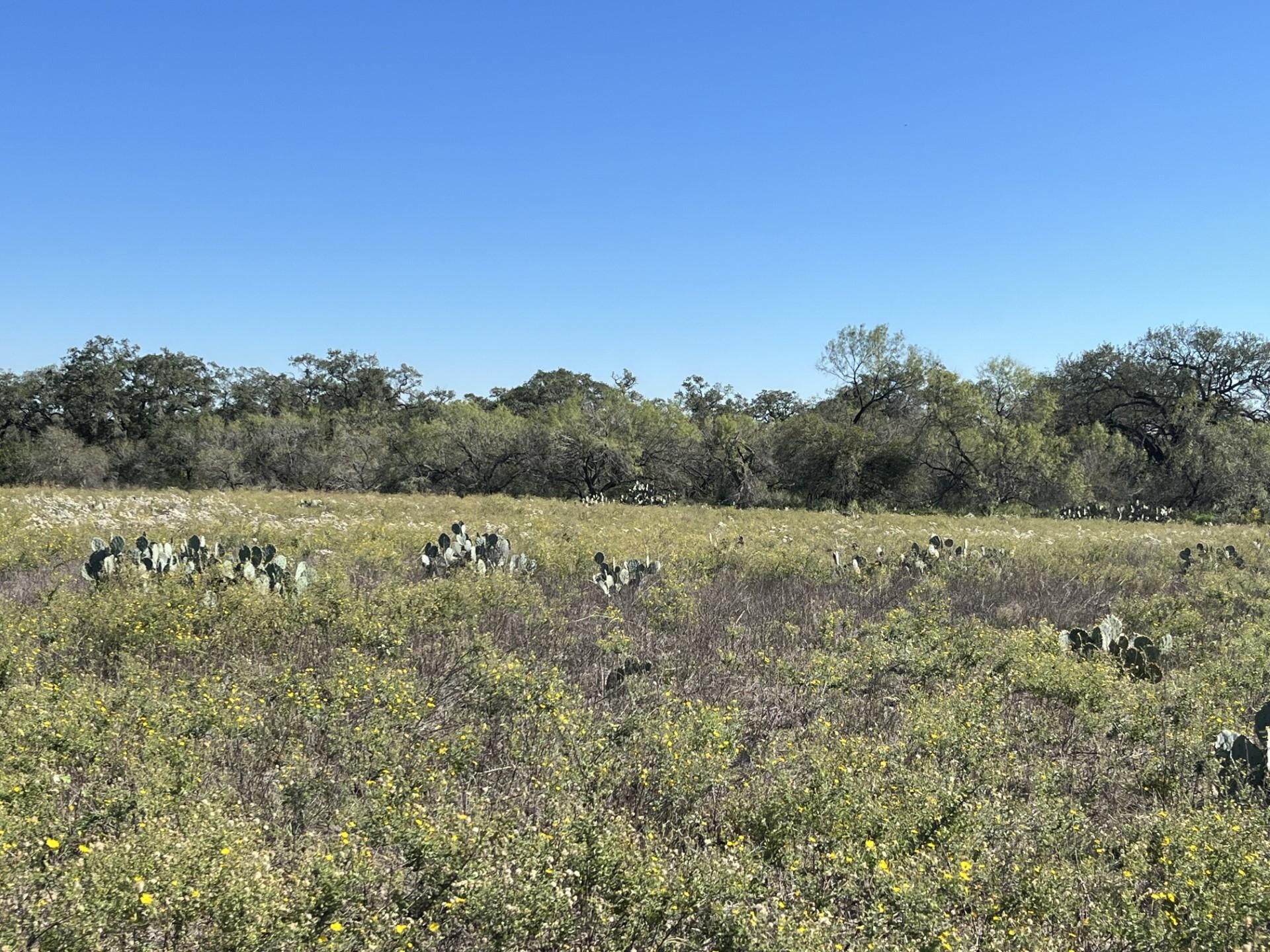Poteet, Atascosa County, TX Farms and Ranches, Recreational Property