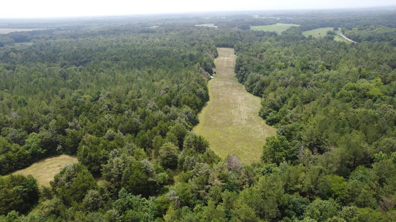 Crawford, Lowndes County, MS Recreational Property, Timberland Property