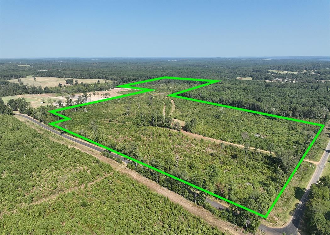 79.85 acres in Harleton, TX, 75651 MLS 20235357 LandWatch
