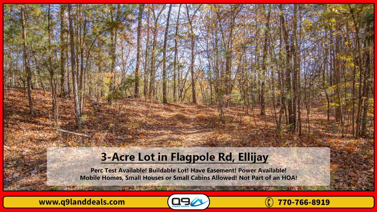 Ellijay, Gilmer County, GA Timberland Property, Undeveloped Land