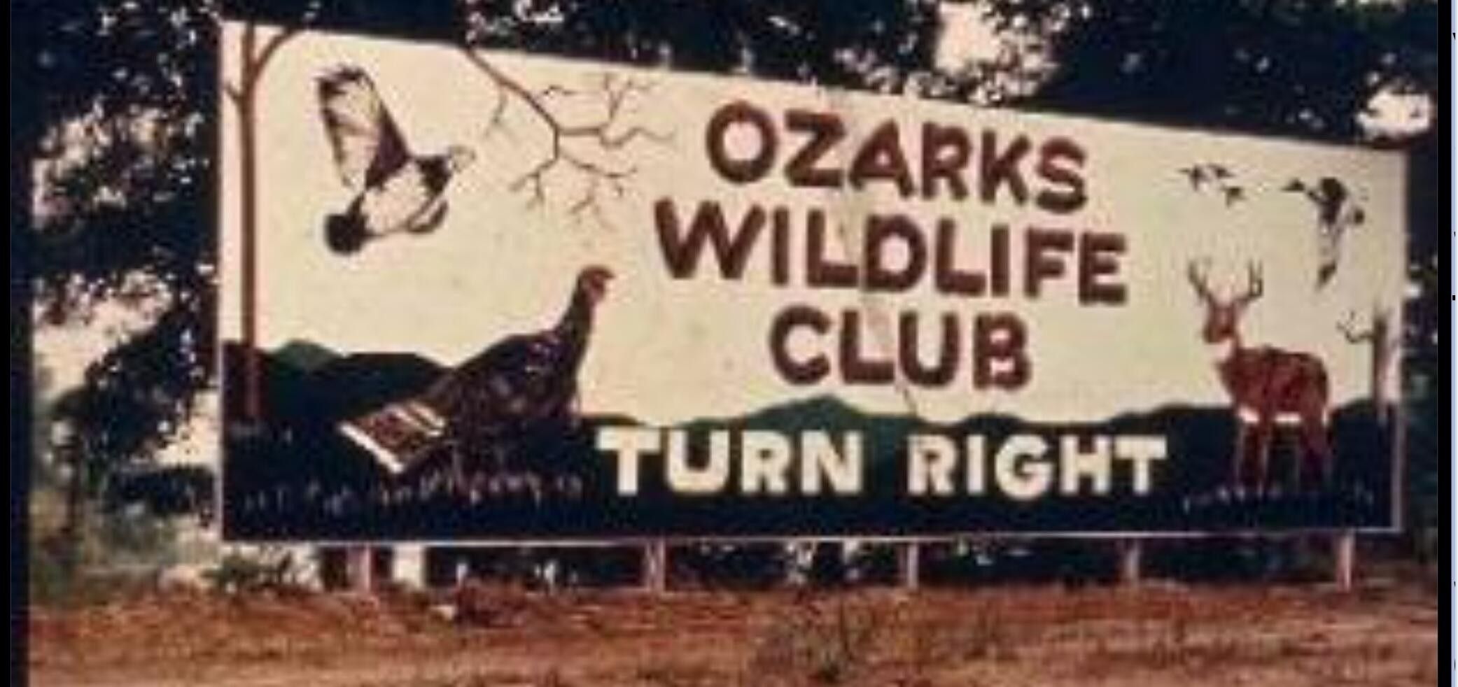 Mount Judea, Newton County, AR Undeveloped Land for sale Property ID