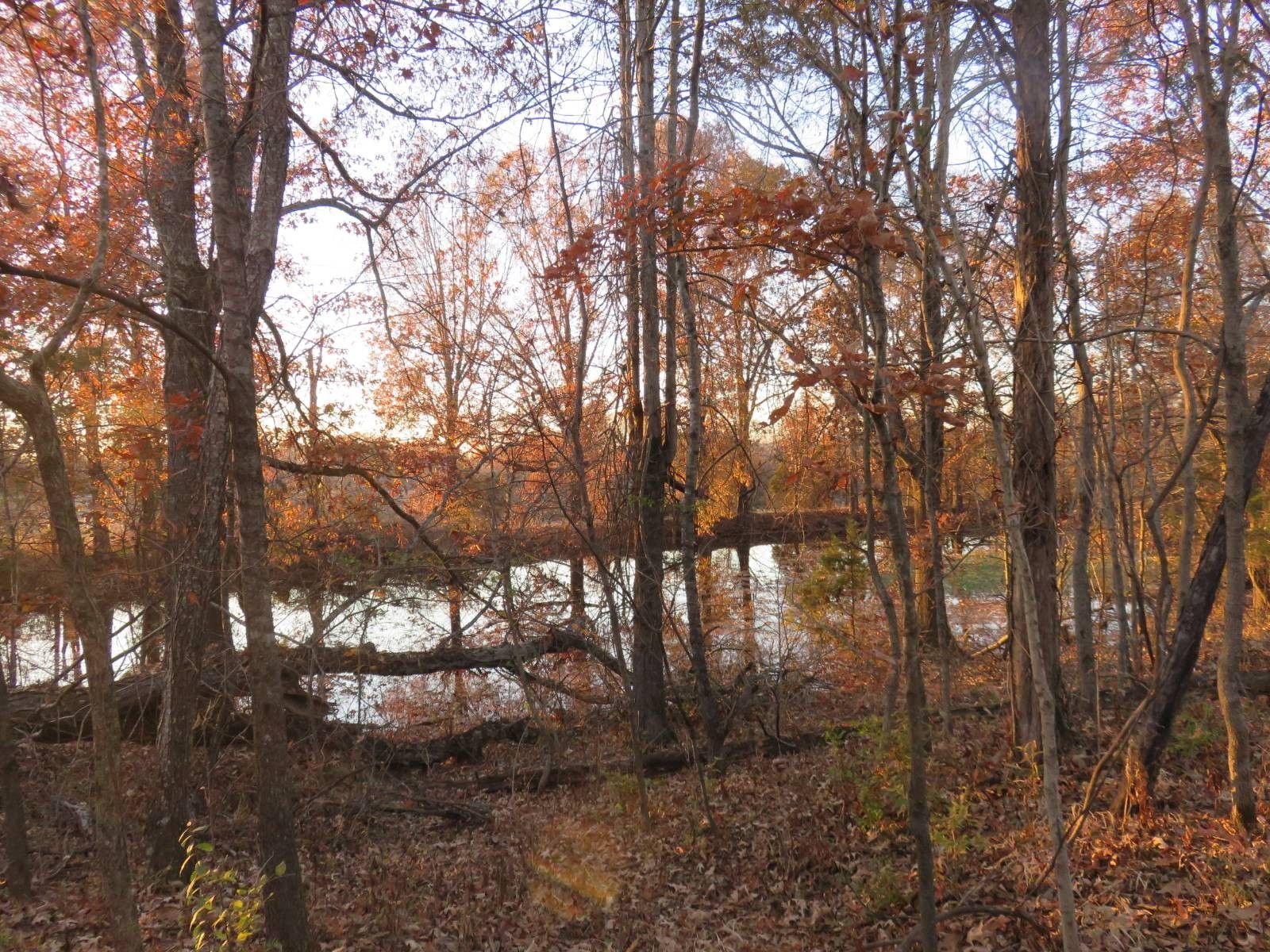 Golconda, Pope County, IL Undeveloped Land, Lakefront Property