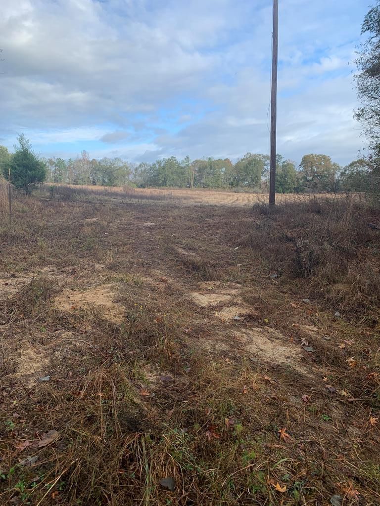 County Road 1101, Troy, AL 36079 MLS 25379 LandWatch