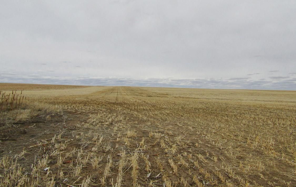 Harrisburg, Banner County, NE Farms and Ranches, Undeveloped Land for