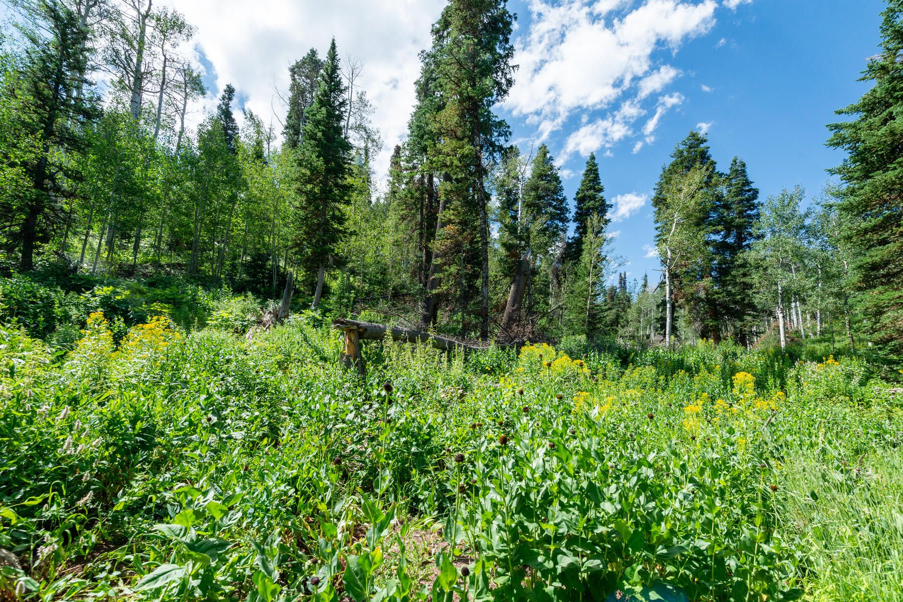 Coalville, Summit County, UT Undeveloped Land, Homesites for sale