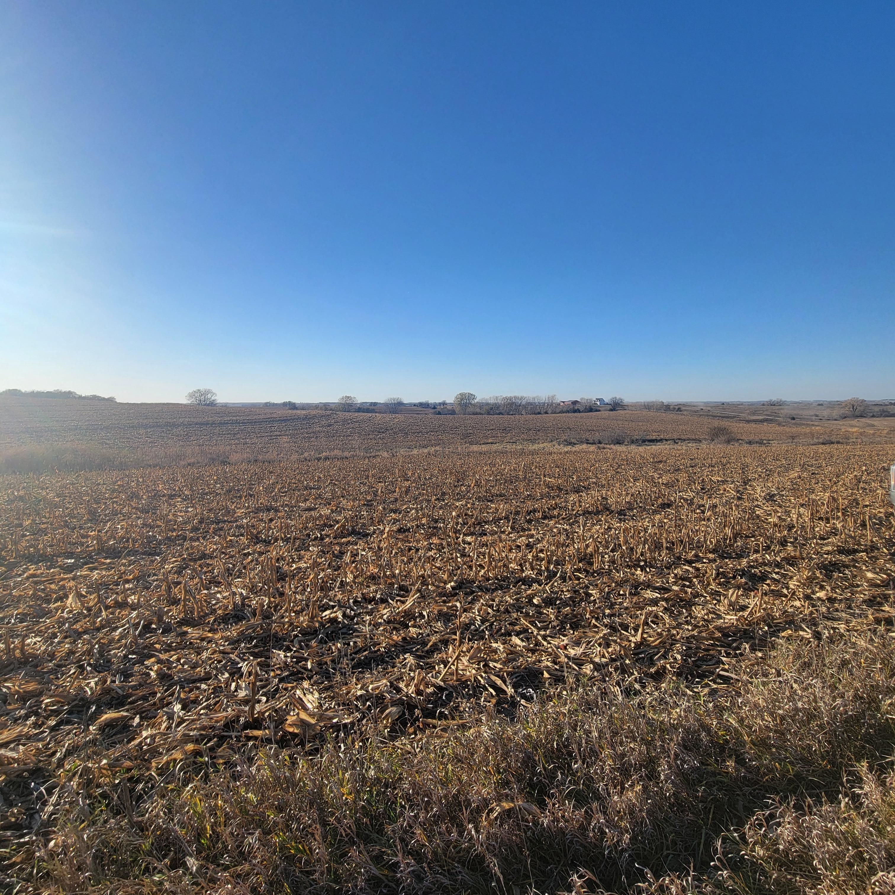 Douglas, Otoe County, NE Farms and Ranches, Undeveloped Land for