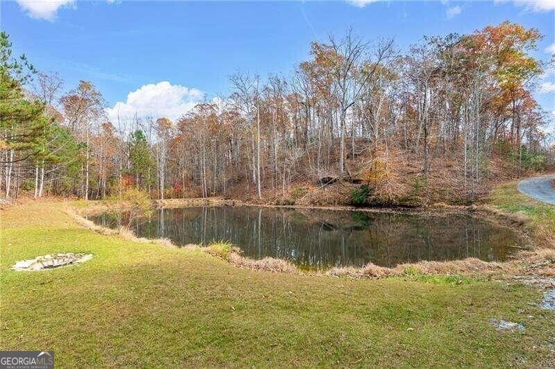 Rockmart, Polk County, GA Undeveloped Land for sale Property ID