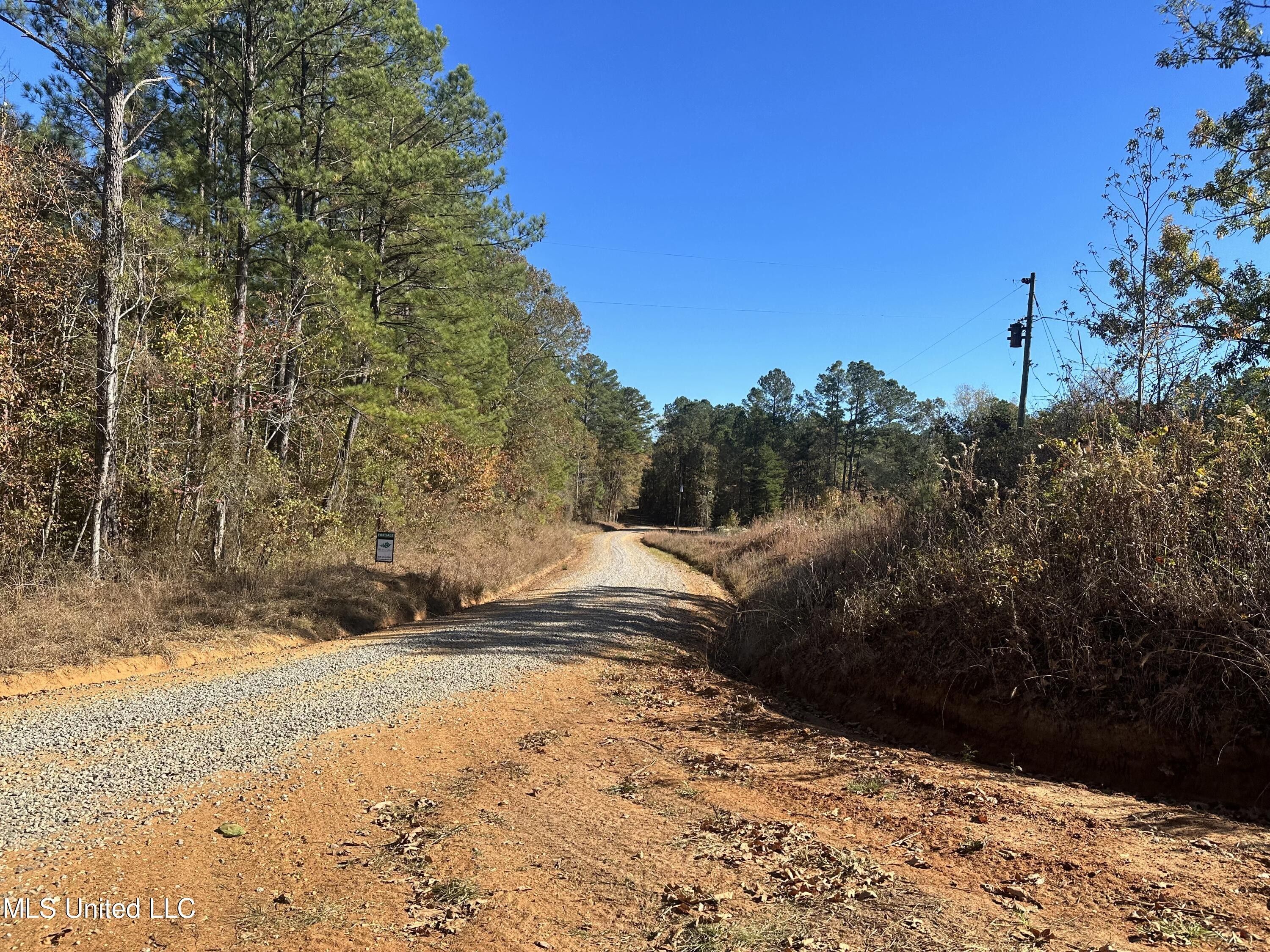 Decatur, Newton County, MS Undeveloped Land for sale Property ID