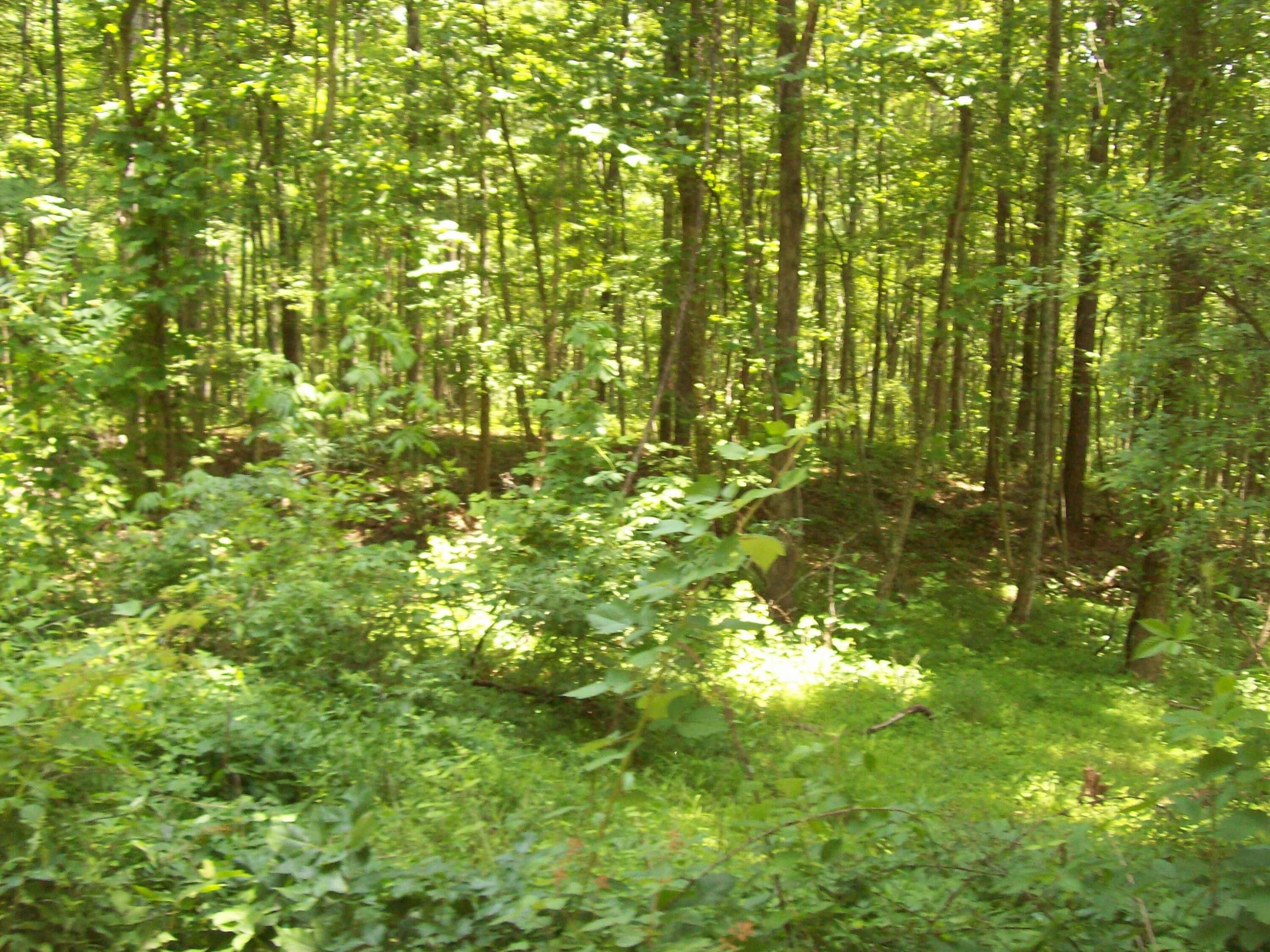 Sneedville, Hancock County, TN Undeveloped Land for sale Property ID