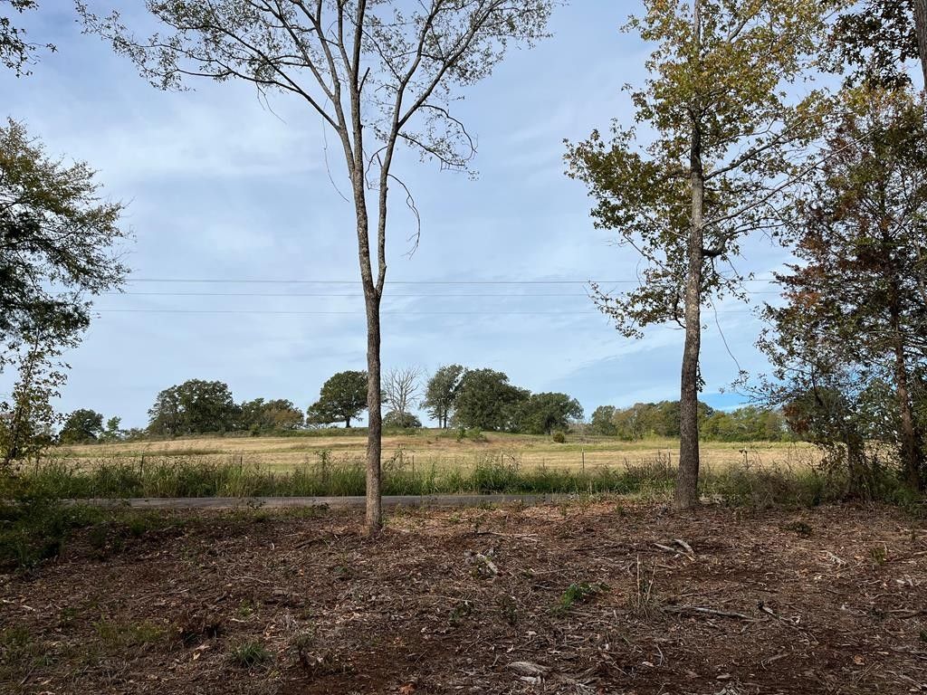 Nacogdoches, Nacogdoches County, TX Undeveloped Land for sale Property