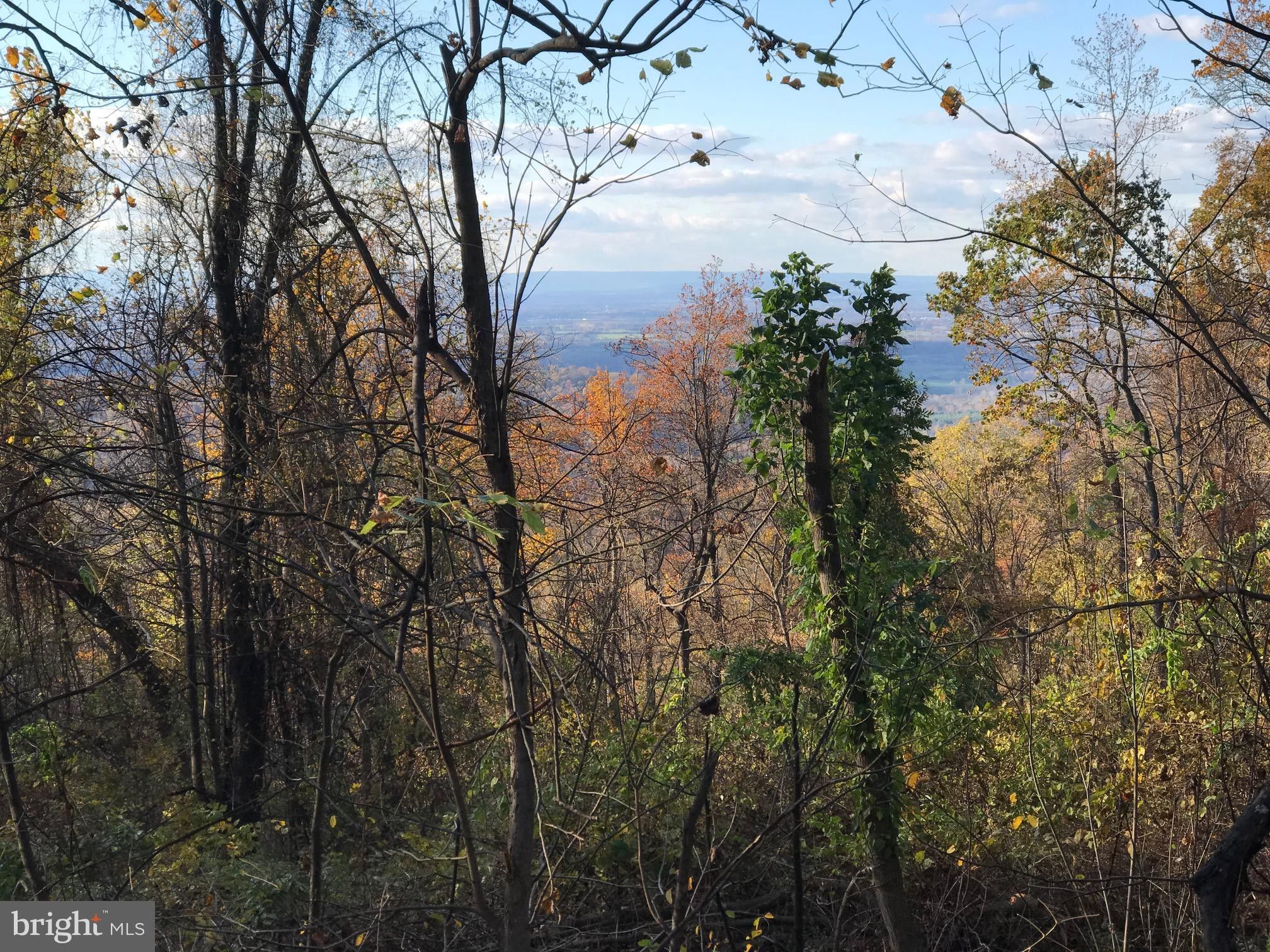 Front Royal, Warren County, VA Undeveloped Land for sale Property ID