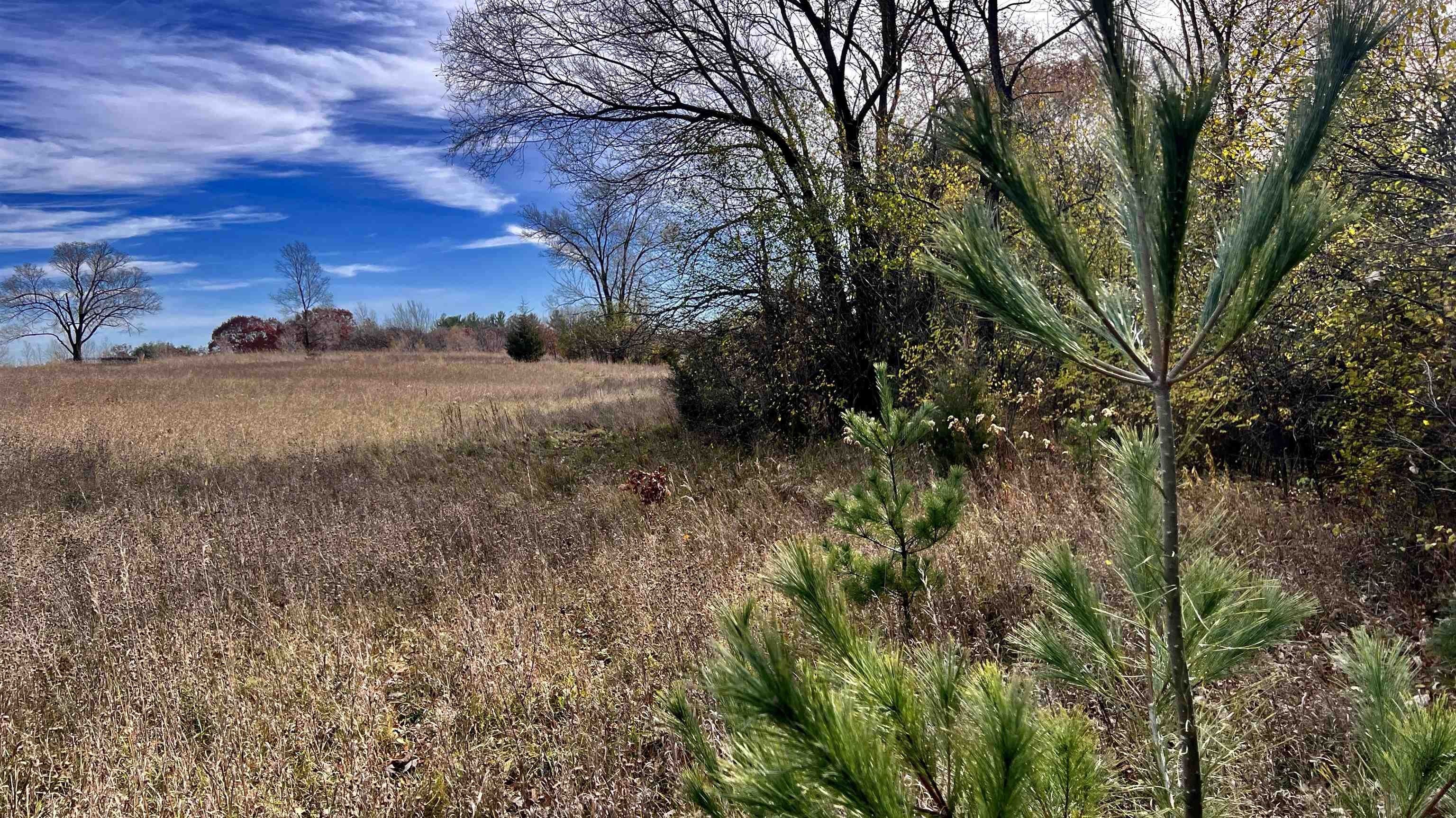 Wautoma, Waushara County, WI Undeveloped Land, Homesites for sale