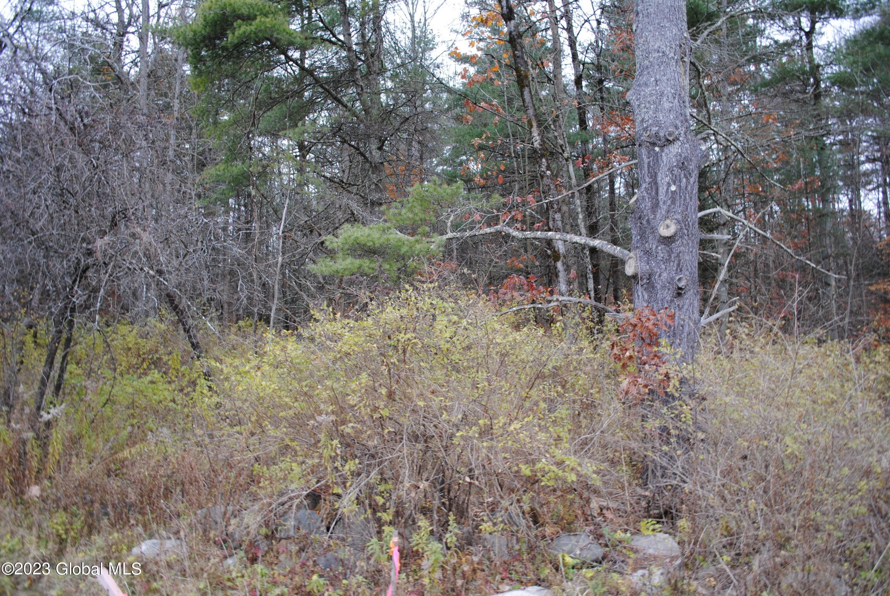 Broadalbin, Fulton County, NY Undeveloped Land for sale Property ID 418296555 LandWatch