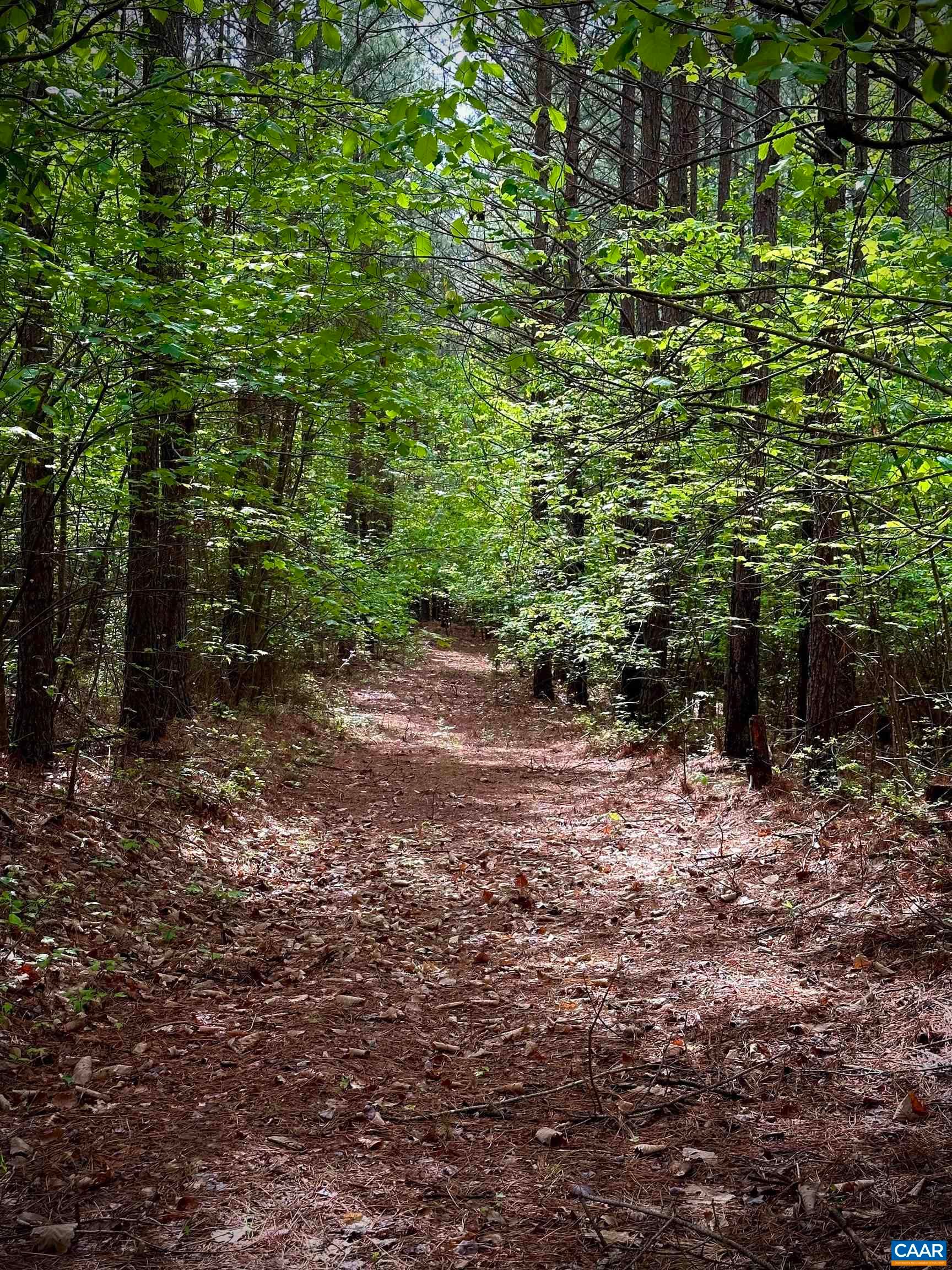 Esmont, Albemarle County, VA Undeveloped Land for sale Property ID