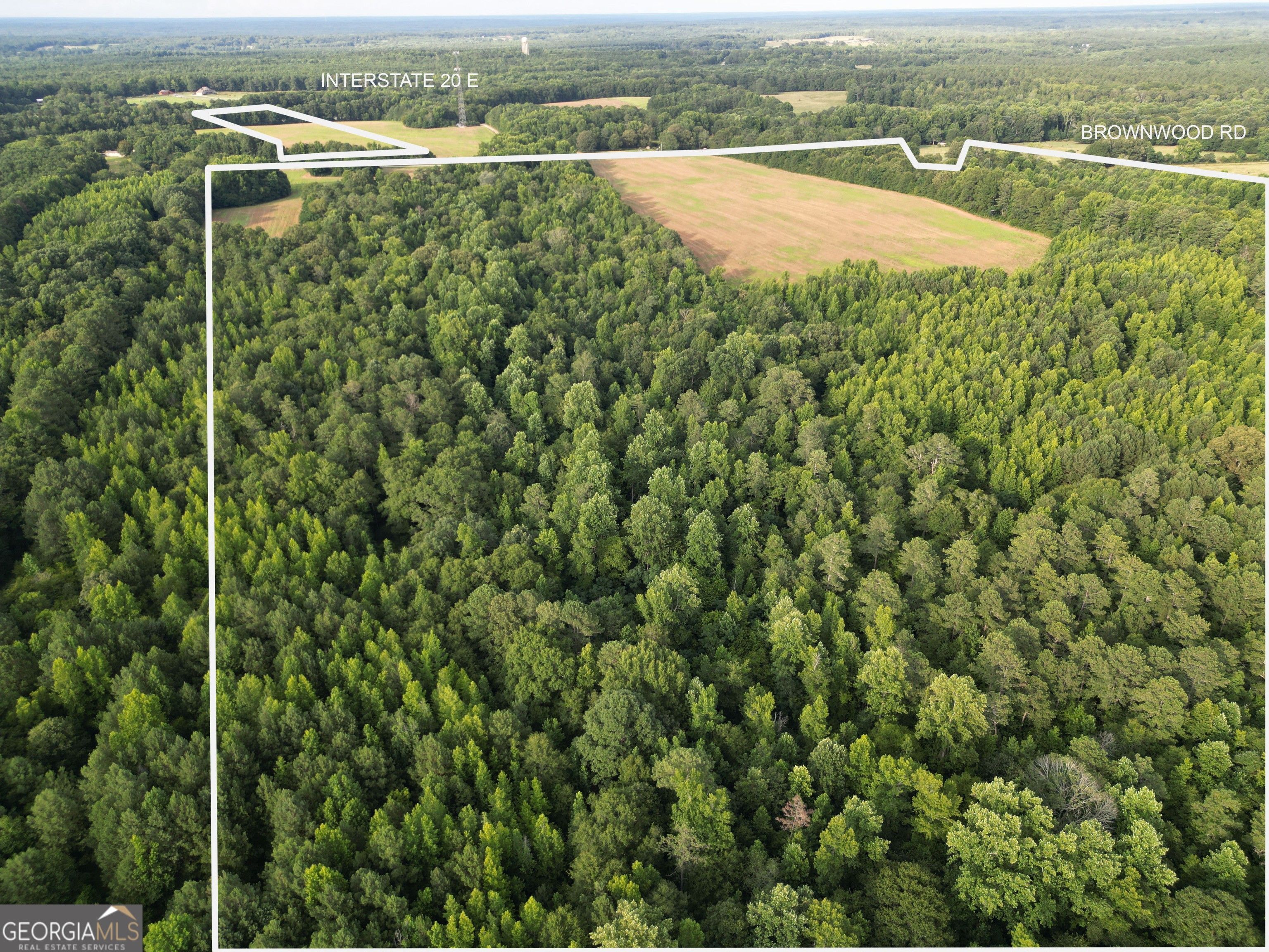 Rutledge, County, GA Undeveloped Land for sale Property ID