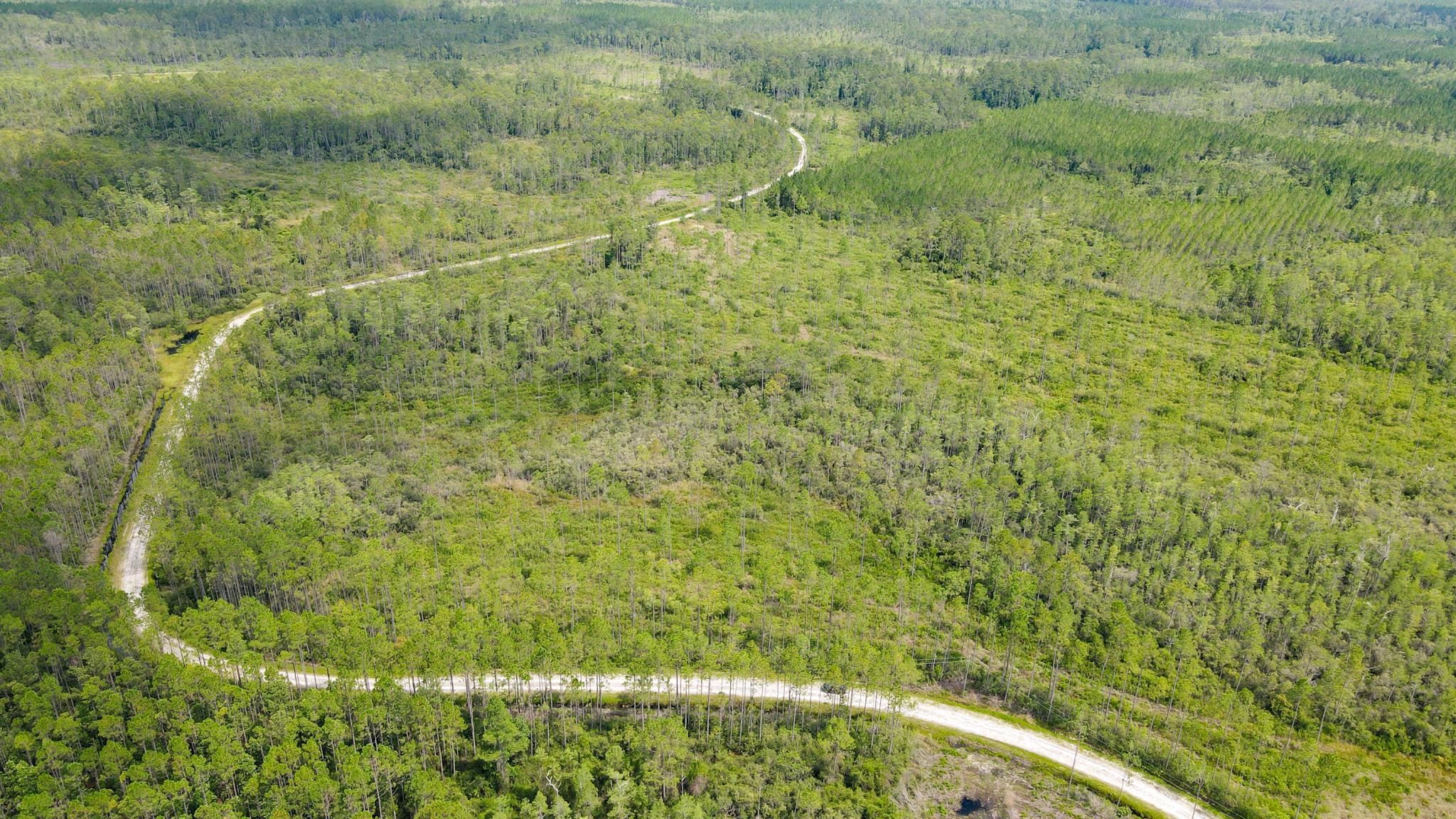 Perry, Taylor County, FL Undeveloped Land, Hunting Property, Horse