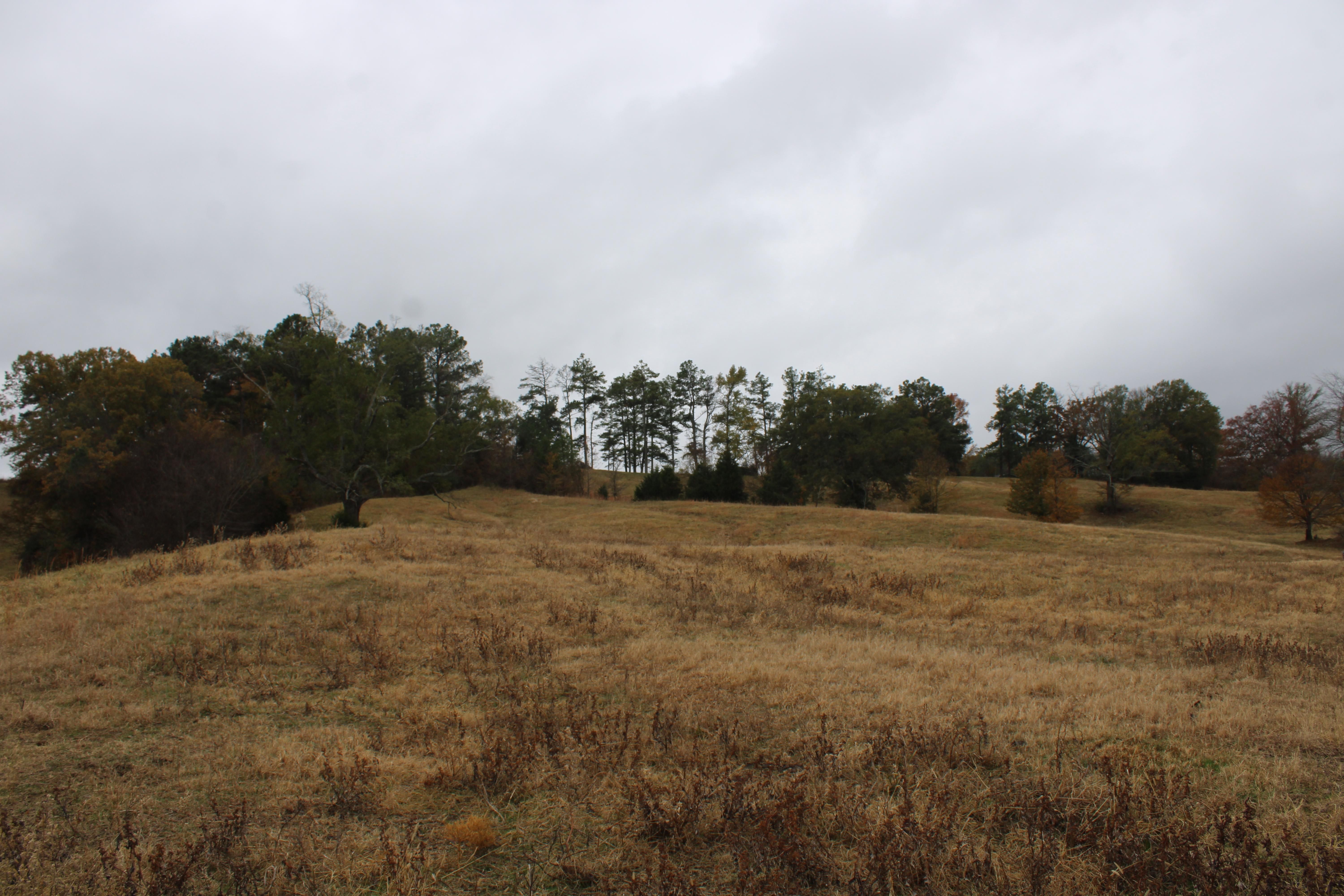 Lamar, Benton County, MS Recreational Property, Hunting Property