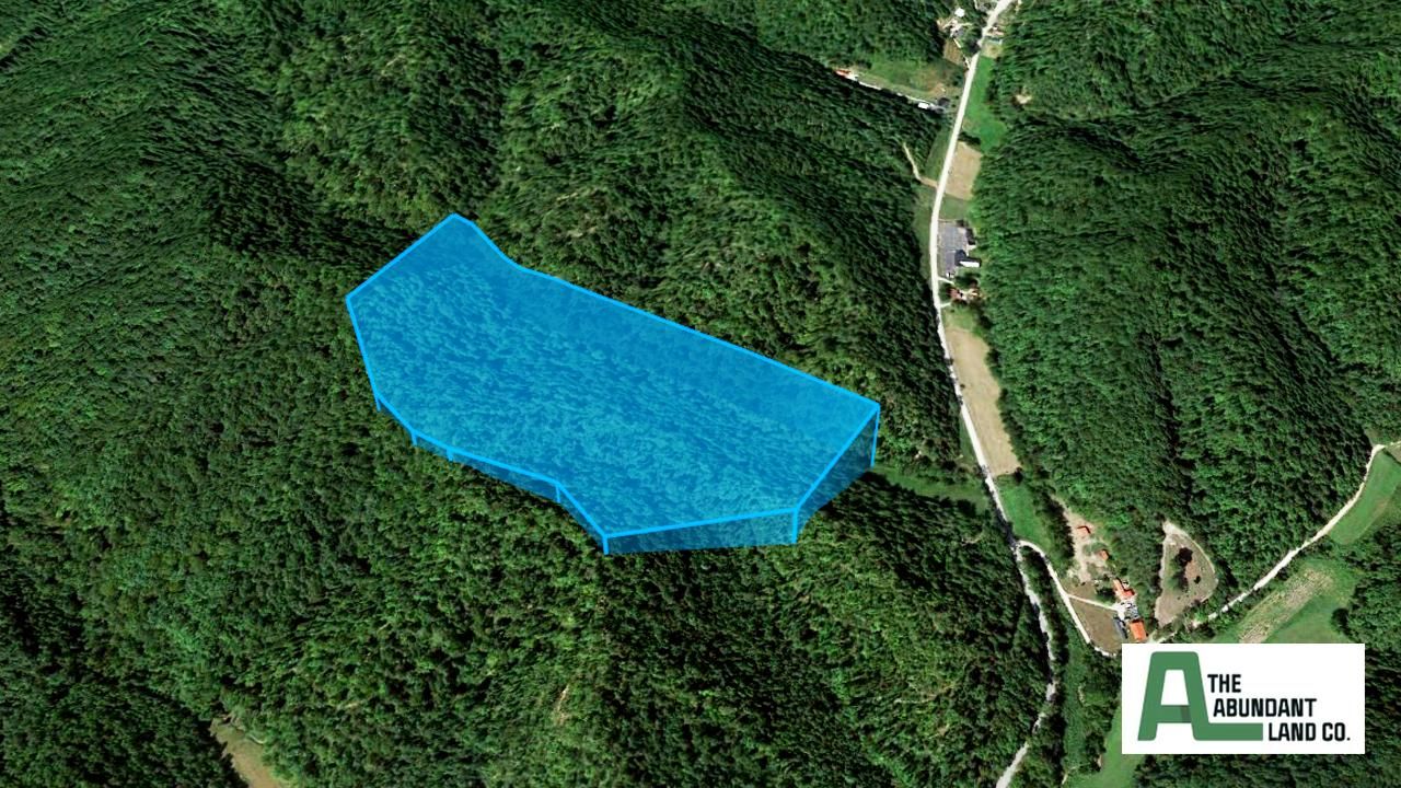 West Liberty, County, KY Farms and Ranches, Undeveloped Land for