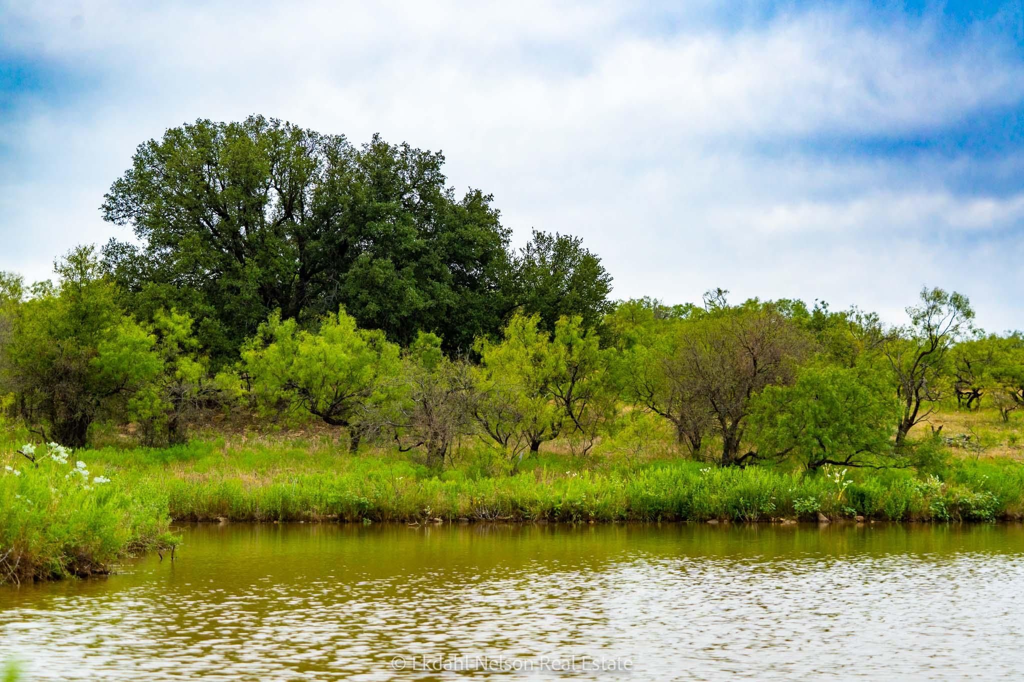 Baird, Callahan County, TX Farms and Ranches, Recreational Property