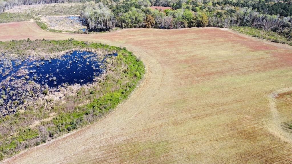 Branchville, Orangeburg County, SC Undeveloped Land for sale Property