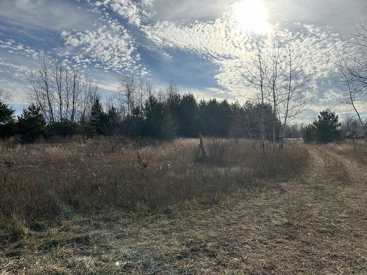 Elmira, Antrim County, MI Undeveloped Land for sale Property ID