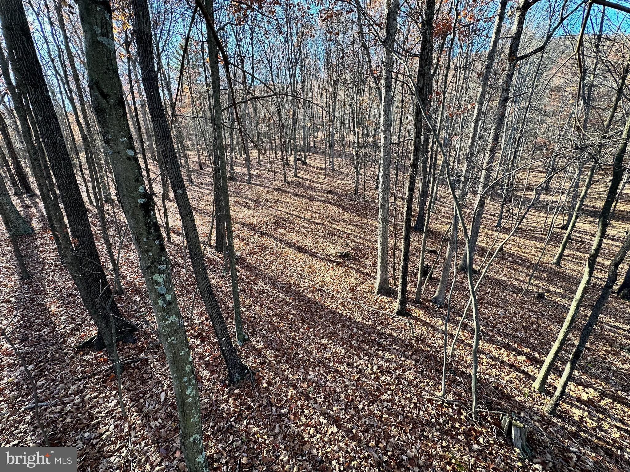 Baker, Hardy County, WV Undeveloped Land for sale Property ID